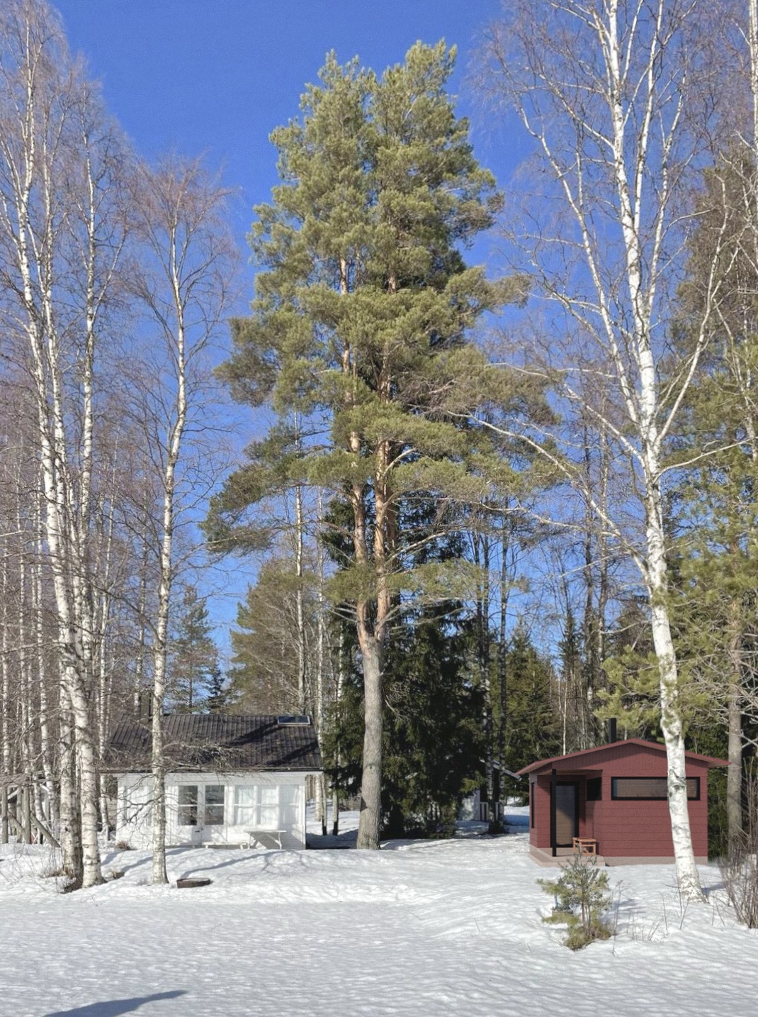 /images/sauna/1sauna.jpg
